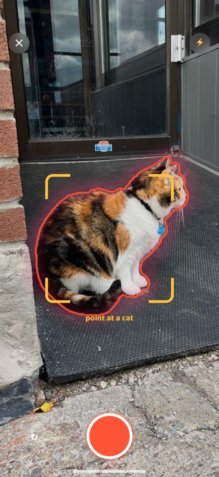 Catch cats with a picture