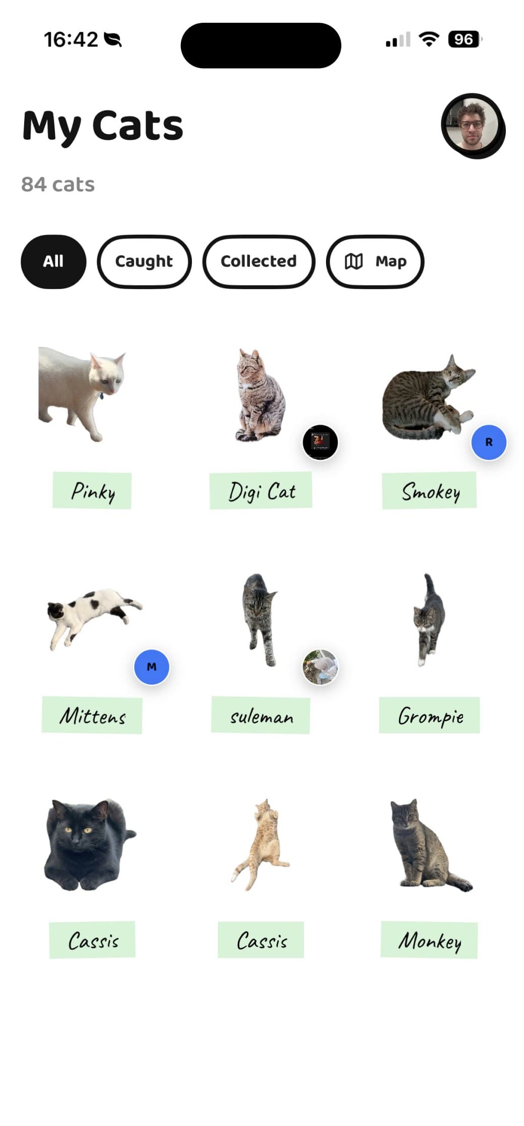 Build your cat collection