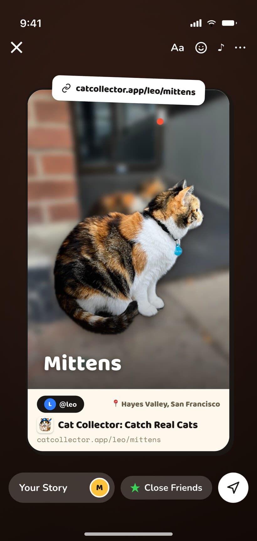Share your cats