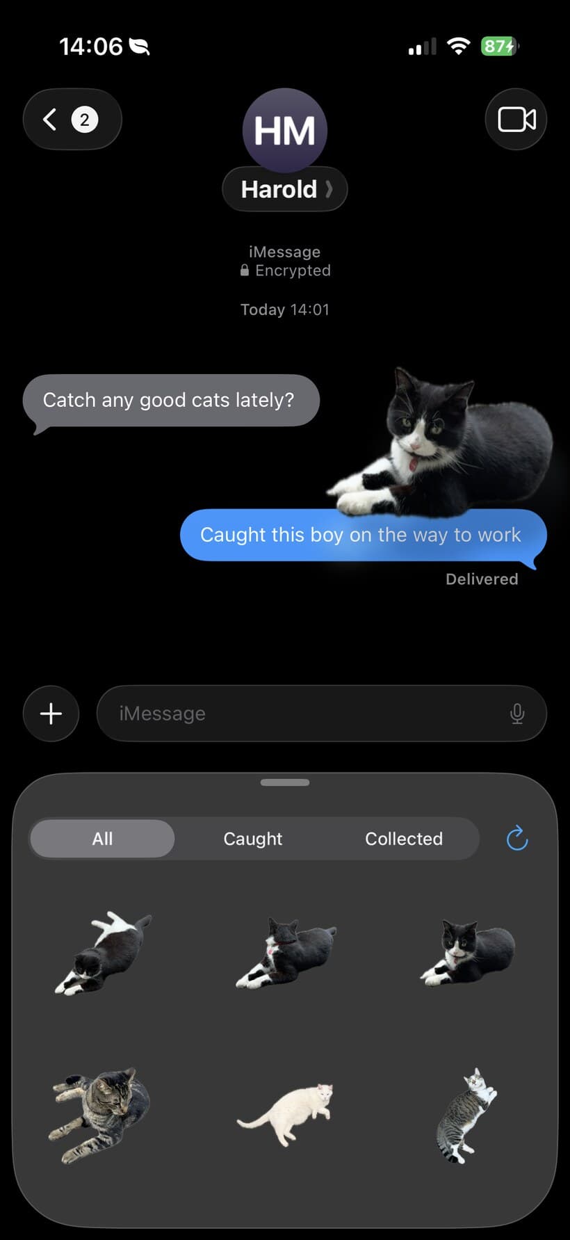 Use them as stickers in iMessage